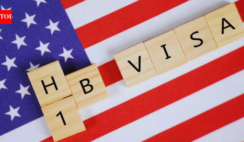H-1B contracting firms under stricter scrutiny in new regulation: 'Why no new regulation for H-2B who work at Mar-a-Lago'