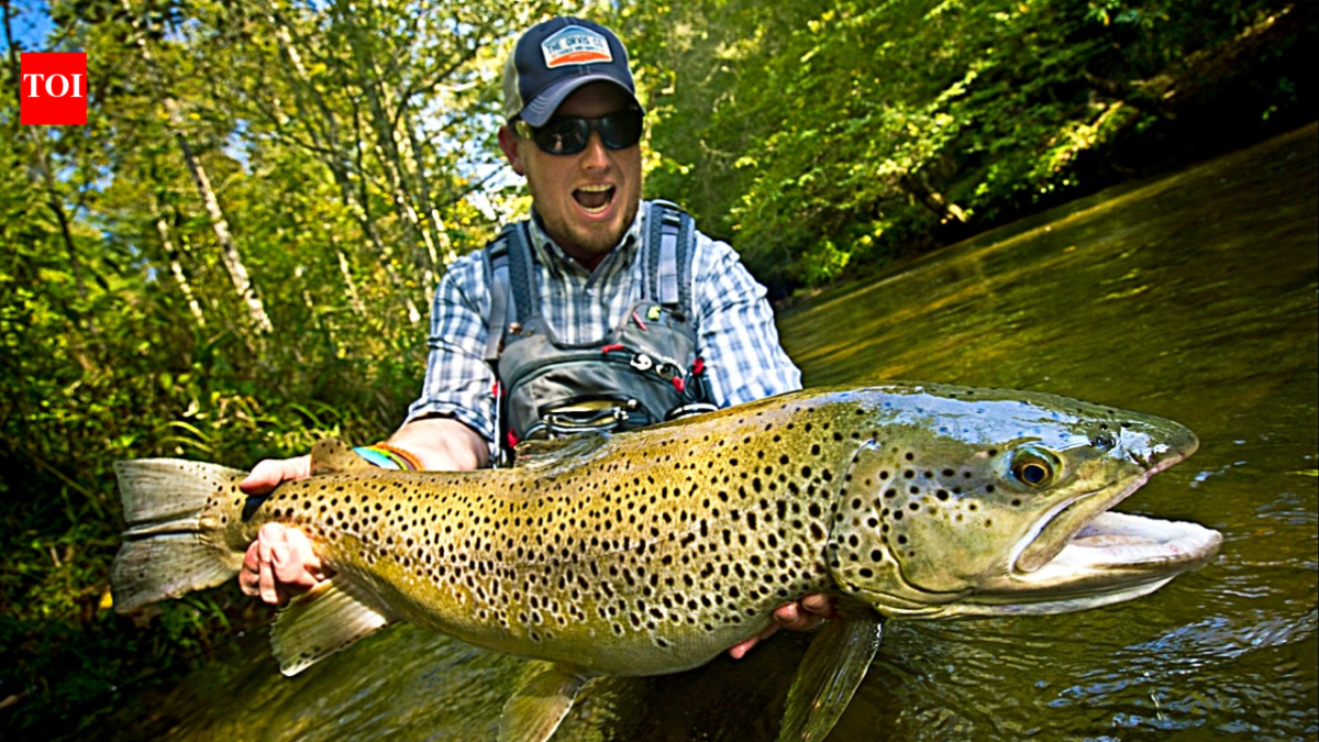 In 1867, New Zealand introduced brown trout for sport fishing; more than 60 million were released by 1921, and the invader later caused local extinctions and fragmented native fish populations