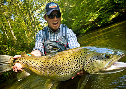 In 1867, New Zealand introduced brown trout for sport fishing; more than 60 million were released by 1921, and the invader later caused local extinctions and fragmented native fish populations