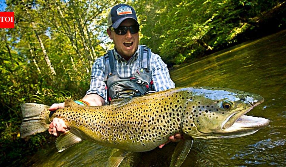 In 1867, New Zealand introduced brown trout for sport fishing; more than 60 million were released by 1921, and the invader later caused local extinctions and fragmented native fish populations