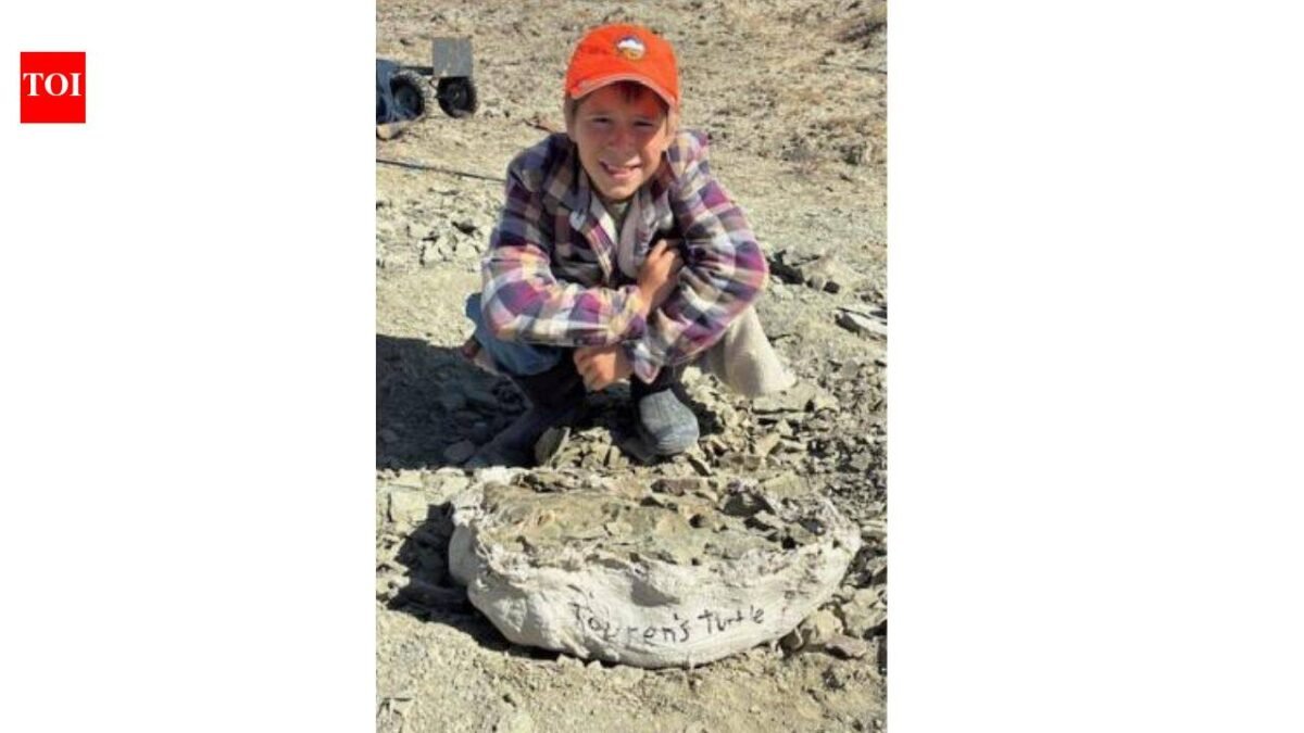 In 2025, 11-year-old Touren Pope spotted a fossil exposed on the ground in Wyoming; it turned out to be a nearly complete 48-million-year-old turtle shell, and he was allowed to name it