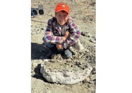 In 2025, 11-year-old Touren Pope spotted a fossil exposed on the ground in Wyoming; it turned out to be a nearly complete 48-million-year-old turtle shell, and he was allowed to name it