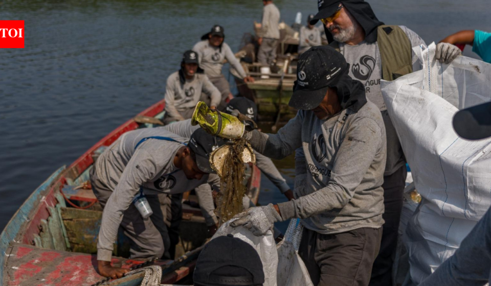 Brazil’s polluted Rio mangroves were disappearing under waste; then local fishers restored 18.2 hectares and more than 60 animal species returned