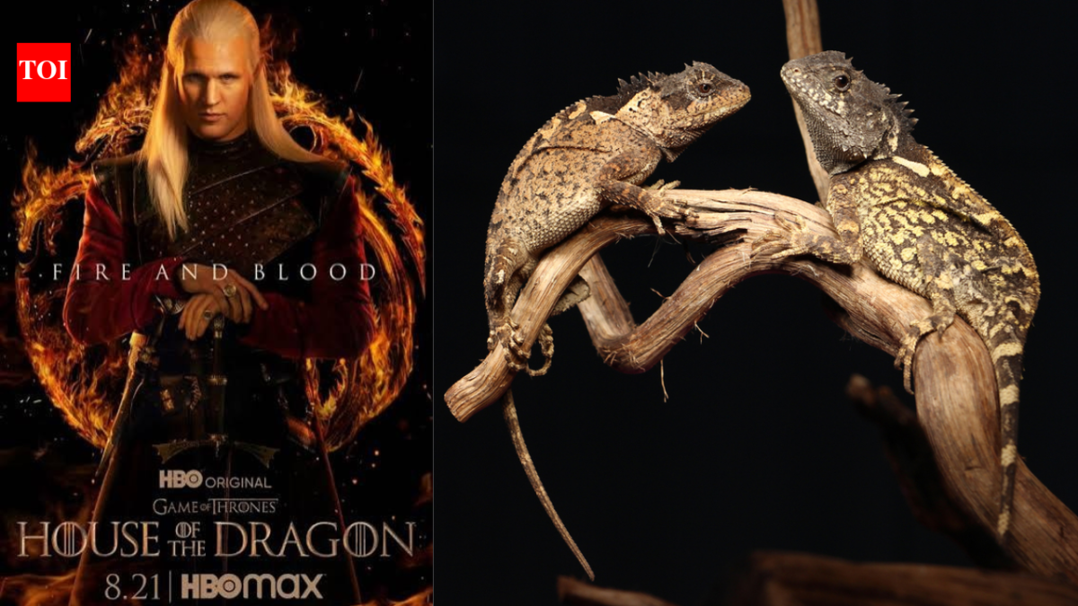 ‘Dracarys’: New ‘dragon’ species named after House of the Dragon’s Syrax discovered in Thailand