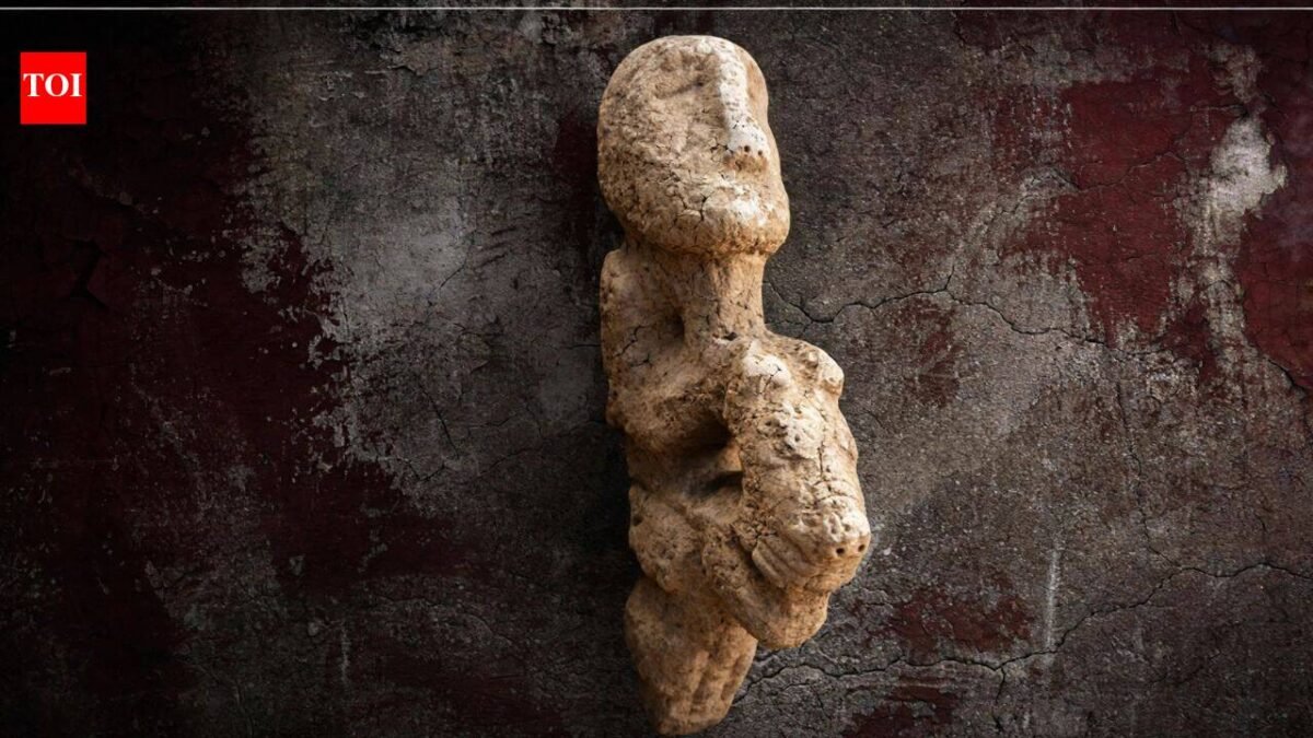 11,000-year-old sculpture of human seated on leopard found on a stone bench at Karahantepe in Türkiye reveals unique Neolithic art