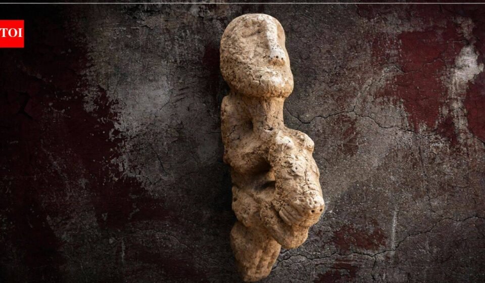 11,000-year-old sculpture of human seated on leopard found on a stone bench at Karahantepe in Türkiye reveals unique Neolithic art