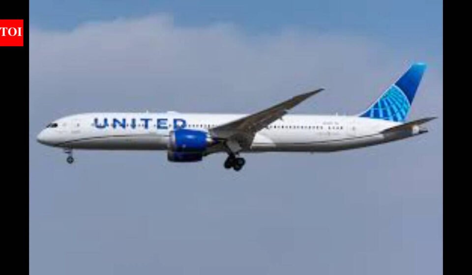 'Engine issue at 31,000 feet': New Jersey-bound United Airlines flight makes emergency landing in Nevada