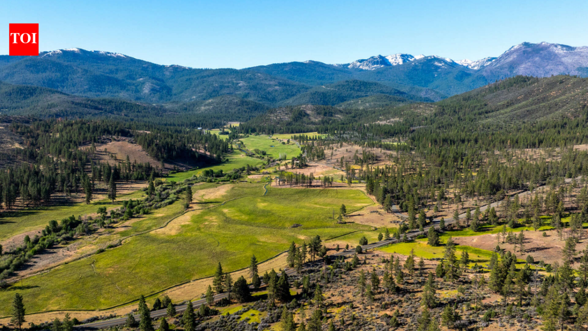 In 1856, one of Northern California’s oldest cattle ranches was established; 170 years later, its 14,177 acres are being bought for $15.5 million and opened to the public