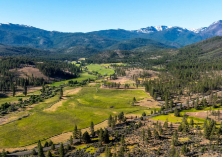 In 1856, one of Northern California’s oldest cattle ranches was established; 170 years later, its 14,177 acres are being bought for $15.5 million and opened to the public