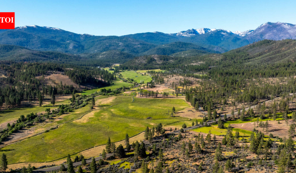 In 1856, one of Northern California’s oldest cattle ranches was established; 170 years later, its 14,177 acres are being bought for $15.5 million and opened to the public