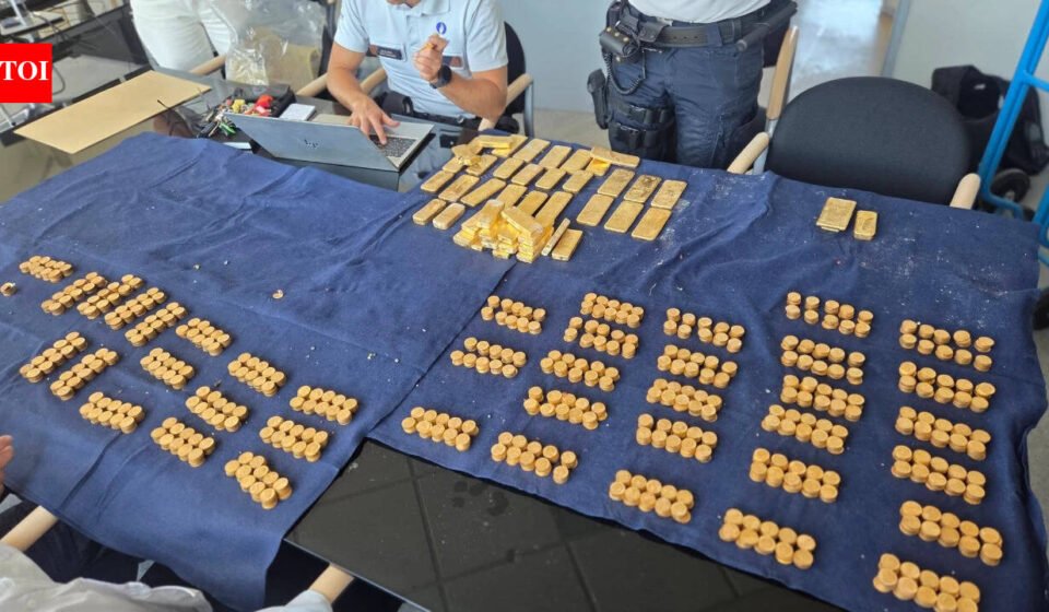 Construction workers in Belgium dig up mysterious gold worth $10 million while building sewer under former brewery: 'Our first reaction was actually disbelief and surprise'