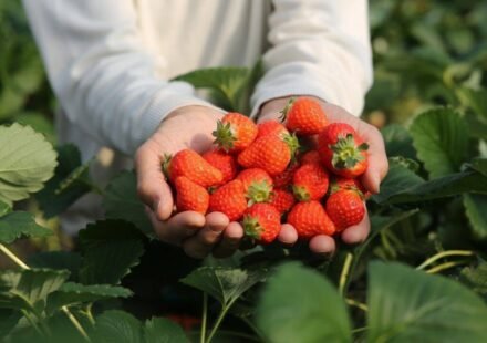 In 2024, a 192,560 sq ft industrial project won approval on 22 acres beside New Jersey’s Monmouth battlefield; two years later the state paid $15 million to preserve the former strawberry farm as part of the park