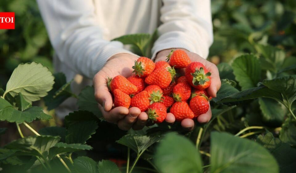 In 2024, a 192,560 sq ft industrial project won approval on 22 acres beside New Jersey’s Monmouth battlefield; two years later the state paid $15 million to preserve the former strawberry farm as part of the park