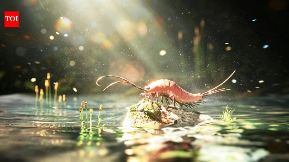 A 324-million-year-old fossil from Texas preserves an early insect with 24 legs and paddle-like limbs on its abdomen, suggesting insects did not leave water for land in one sudden evolutionary jump