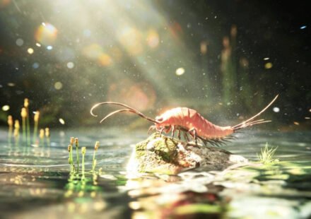 A 324-million-year-old fossil from Texas preserves an early insect with 24 legs and paddle-like limbs on its abdomen, suggesting insects did not leave water for land in one sudden evolutionary jump