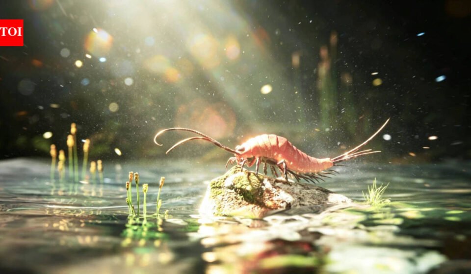 A 324-million-year-old fossil from Texas preserves an early insect with 24 legs and paddle-like limbs on its abdomen, suggesting insects did not leave water for land in one sudden evolutionary jump