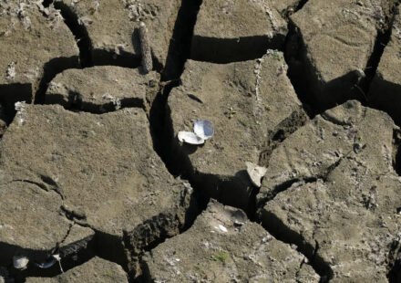 England’s water network buckles under sudden summer drought