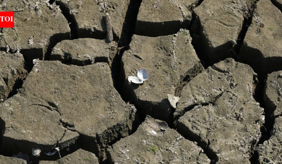 England’s water network buckles under sudden summer drought