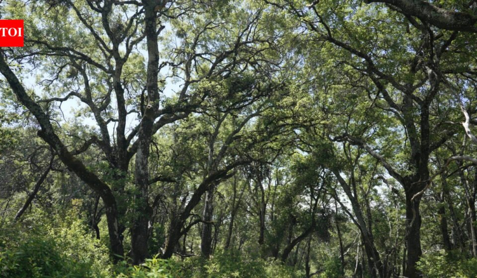 In 2005, a couple bought a 2,300-acre Napa ranch for $8 million; after a 17-year battle over plans for vineyards, the land was bought for $24 million and is becoming a public preserve