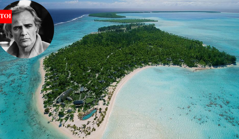 In 1966, Marlon Brando bought a private Polynesian atoll after filming ‘Mutiny on the Bounty’; it is now a wildlife sanctuary where 15,614 green turtle hatchlings emerged in one season