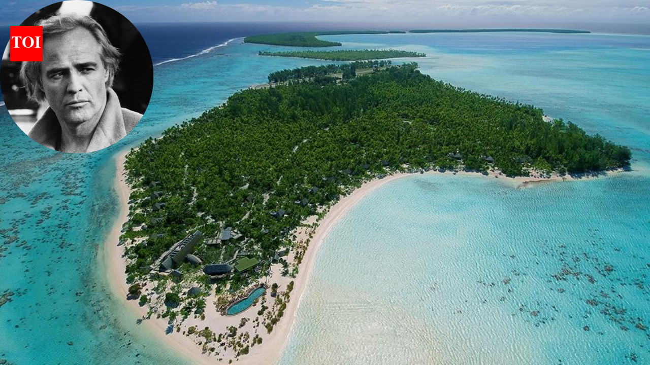In 1966, Marlon Brando bought a private Polynesian atoll after filming ‘Mutiny on the Bounty’; it is now a wildlife sanctuary where 15,614 green turtle hatchlings emerged in one season