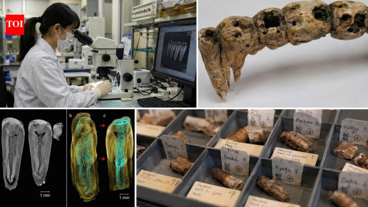 In the 1600s, people in Osaka ate dozens of species of fish, mammals and plants; 400 years later scientists found the evidence trapped in their teeth