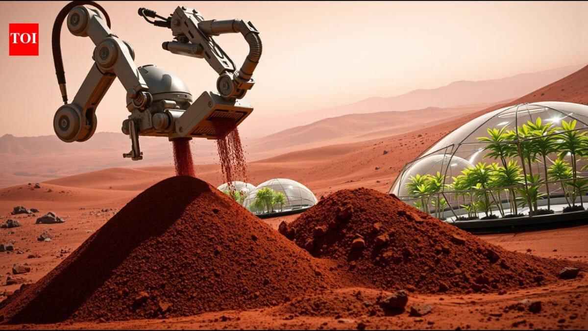 Meet Varshini Gandreddy, Dhiti Koyya and Raaga Bukkaraju, Texas students turning toxic Martian soil into fertile ground for astronauts