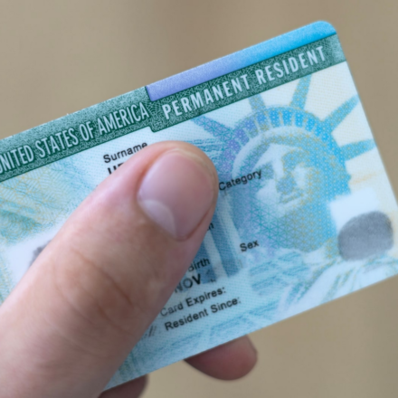 In Texas, seven people have been charged with illegal voting and misrepresenting citizenship status, including six green card holders and one Mexican national.