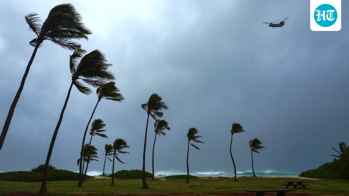 Palm trees bend from strong winds amid Hurricane Lowell heading towards Hawaii. (AFP)