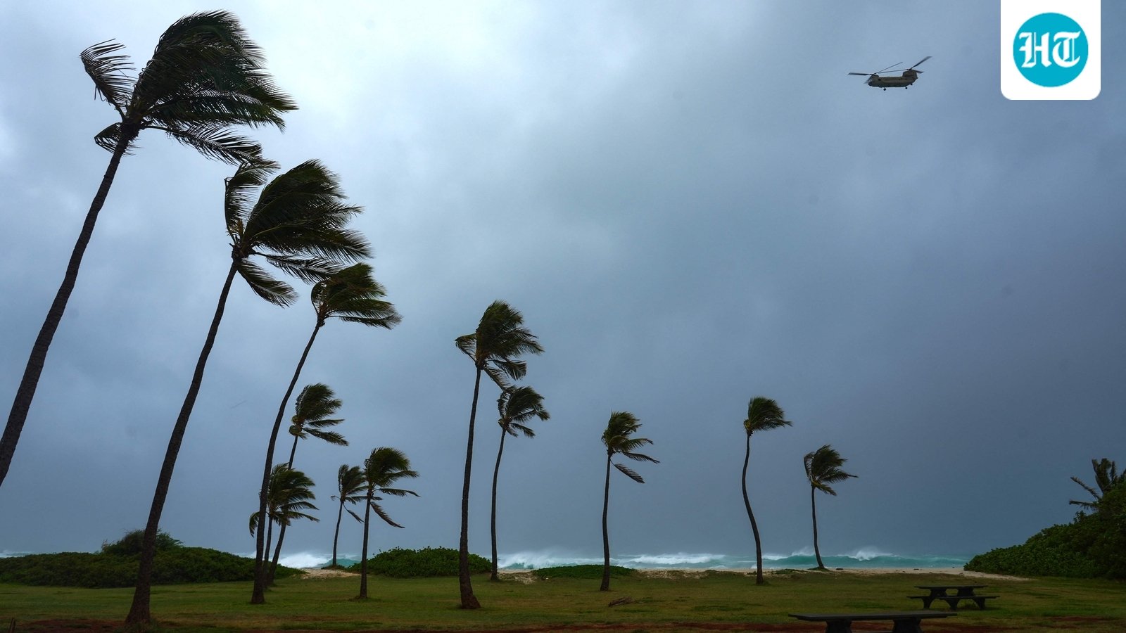 Palm trees bend from strong winds amid Hurricane Lowell heading towards Hawaii. (AFP)