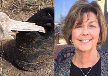 Nancy Guthrie was reported missing on February 1 and is yet to be found. (X/@Shana__X__, X/@imadriienne)
