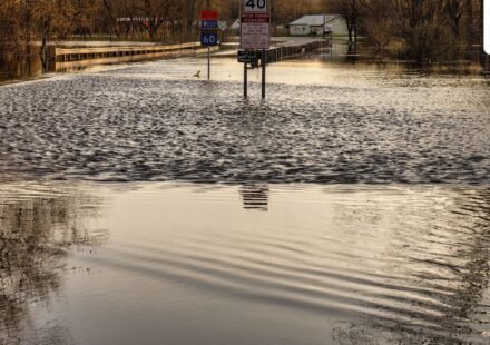 Flash flood warnings hit southern Utah, including Zion National Park; scary visuals emerge (Pexel - representational image)