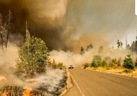Fire crews and air resources respond to the Palos Fire burning near Lupin Hill Road in Whittier. (UnSplash)