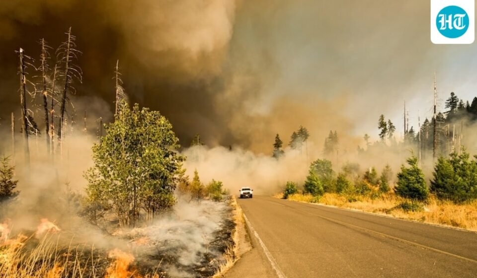 Fire crews and air resources respond to the Palos Fire burning near Lupin Hill Road in Whittier. (UnSplash)