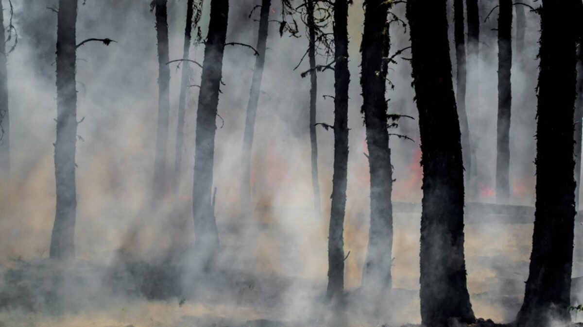 Wildfire in Meridian, Texas. (UnSplash)