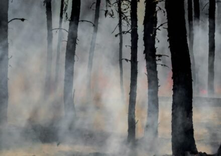 Wildfire in Meridian, Texas. (UnSplash)
