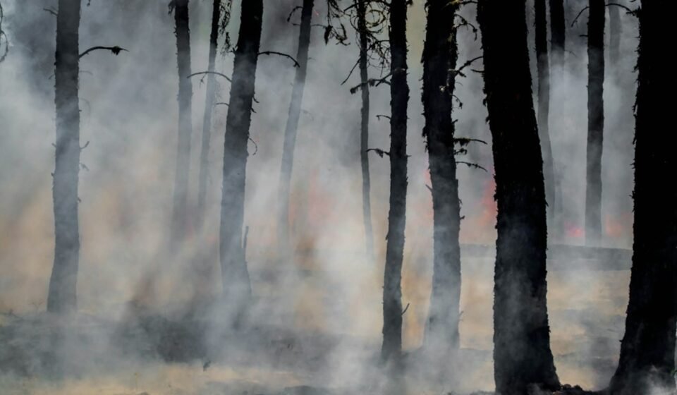 Wildfire in Meridian, Texas. (UnSplash)