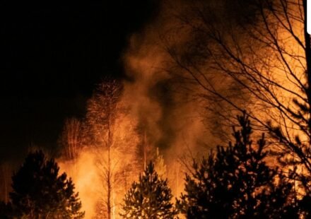 Canadian wildfire smoke can travel vast distances, severely impacting air quality. Michigan reported an AQI of 616 this July, indicating hazardous conditions