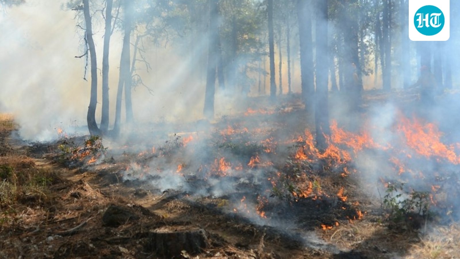 Maui County fire: Evacuation orders issued as blaze burns near Olowalu Village. (Representational photo) (Unsplash)