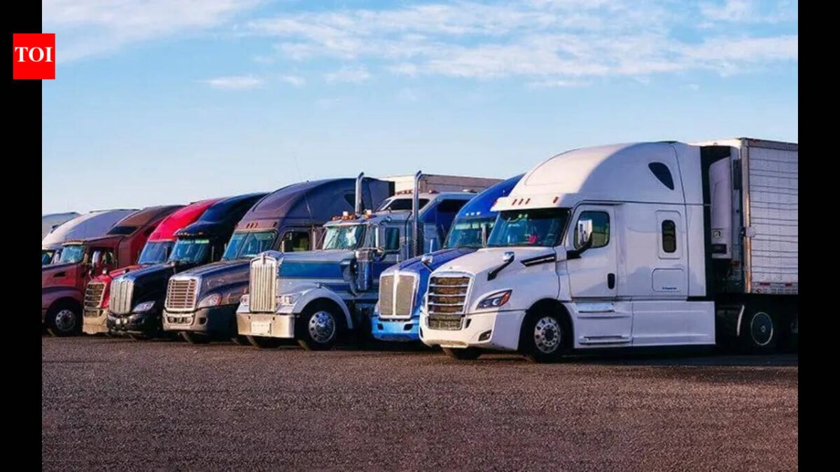 US announces emergency executive shutdown of 110 driving schools for 5000 violations: 'No English, no trucking - it's common sense'