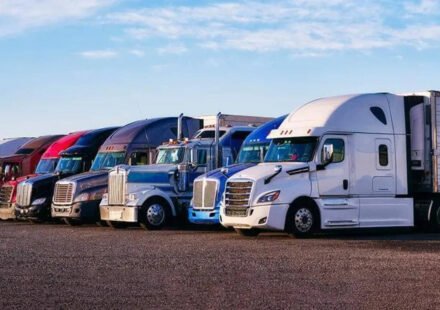 US announces emergency executive shutdown of 110 driving schools for 5000 violations: 'No English, no trucking - it's common sense'