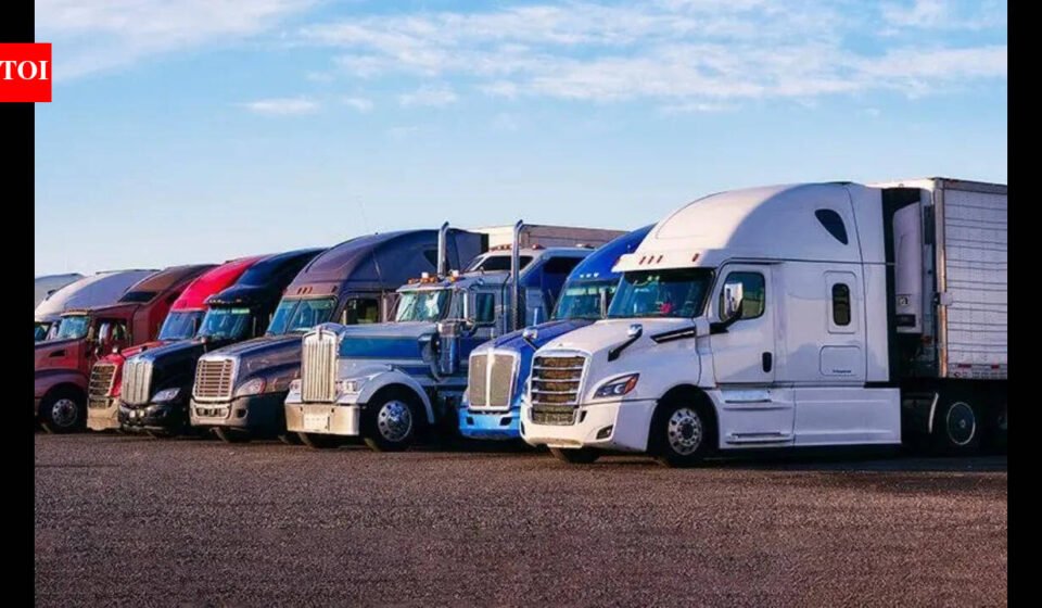 US announces emergency executive shutdown of 110 driving schools for 5000 violations: 'No English, no trucking - it's common sense'