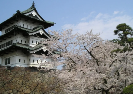After a decade-long restoration, 1,800 volunteers took turns pulling a 400-ton Japanese castle with ropes; 8,000 people had applied for the chance to help move it