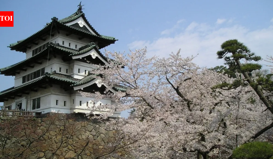 After a decade-long restoration, 1,800 volunteers took turns pulling a 400-ton Japanese castle with ropes; 8,000 people had applied for the chance to help move it