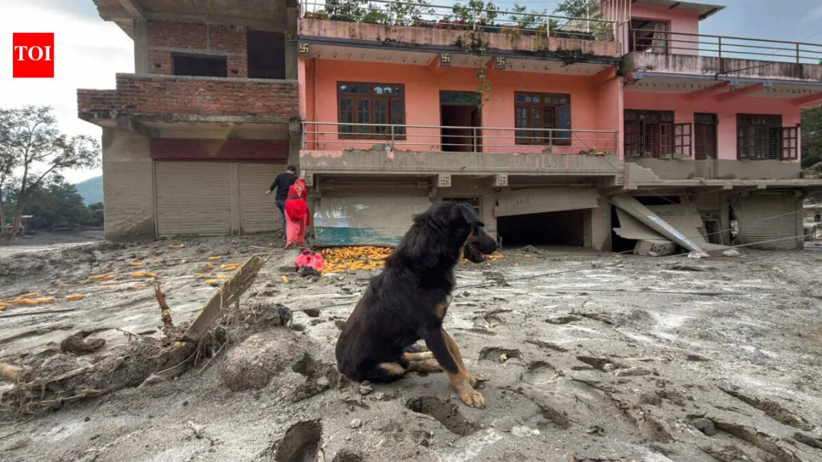 Nepal tragedy: Owners missing, dog refuses to leave flood-hit Trishuli home
