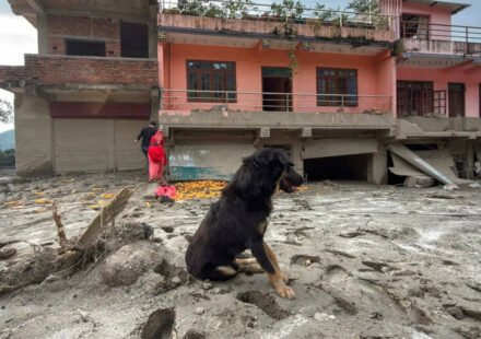 Nepal tragedy: Owners missing, dog refuses to leave flood-hit Trishuli home