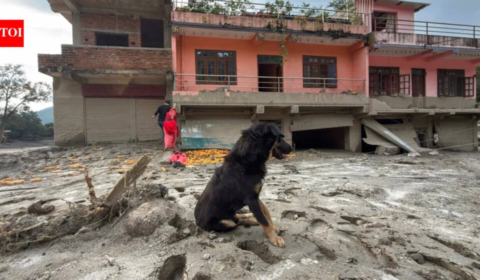 Nepal tragedy: Owners missing, dog refuses to leave flood-hit Trishuli home