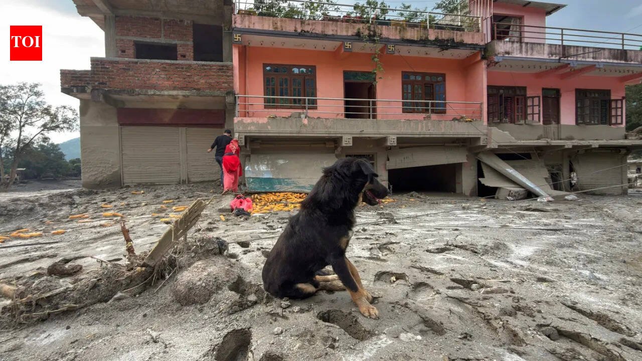 Nepal tragedy: Owners missing, dog refuses to leave flood-hit Trishuli home