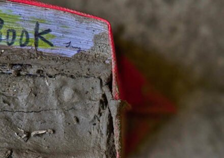 ‘The flood is on its way’: How 400 Nepal students escaped in time