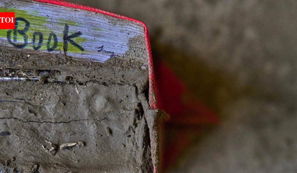 ‘The flood is on its way’: How 400 Nepal students escaped in time